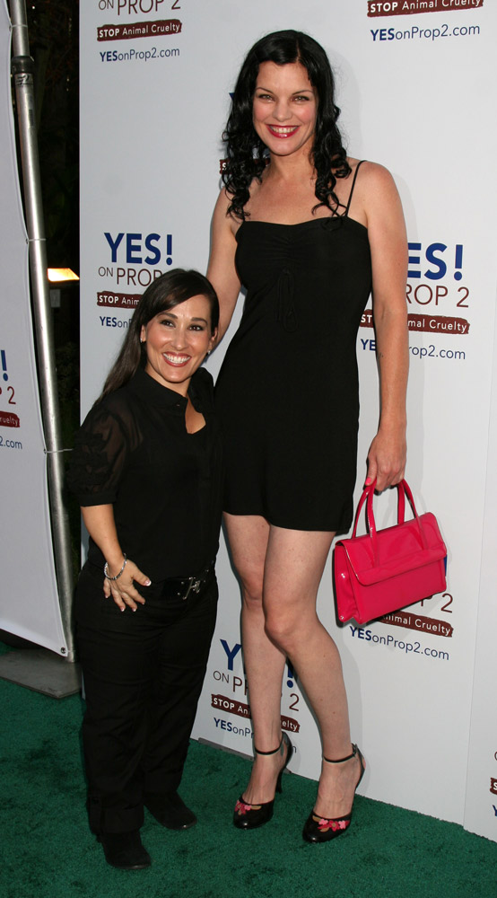 How tall is Meredith Eaton